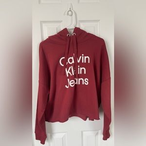 Calvin Klein Cropped Hoodie